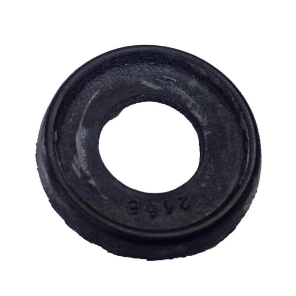 590510 Rubber voor spiegel DAF 55